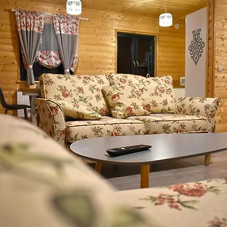 Σπίτι διακοπών Michalowka *